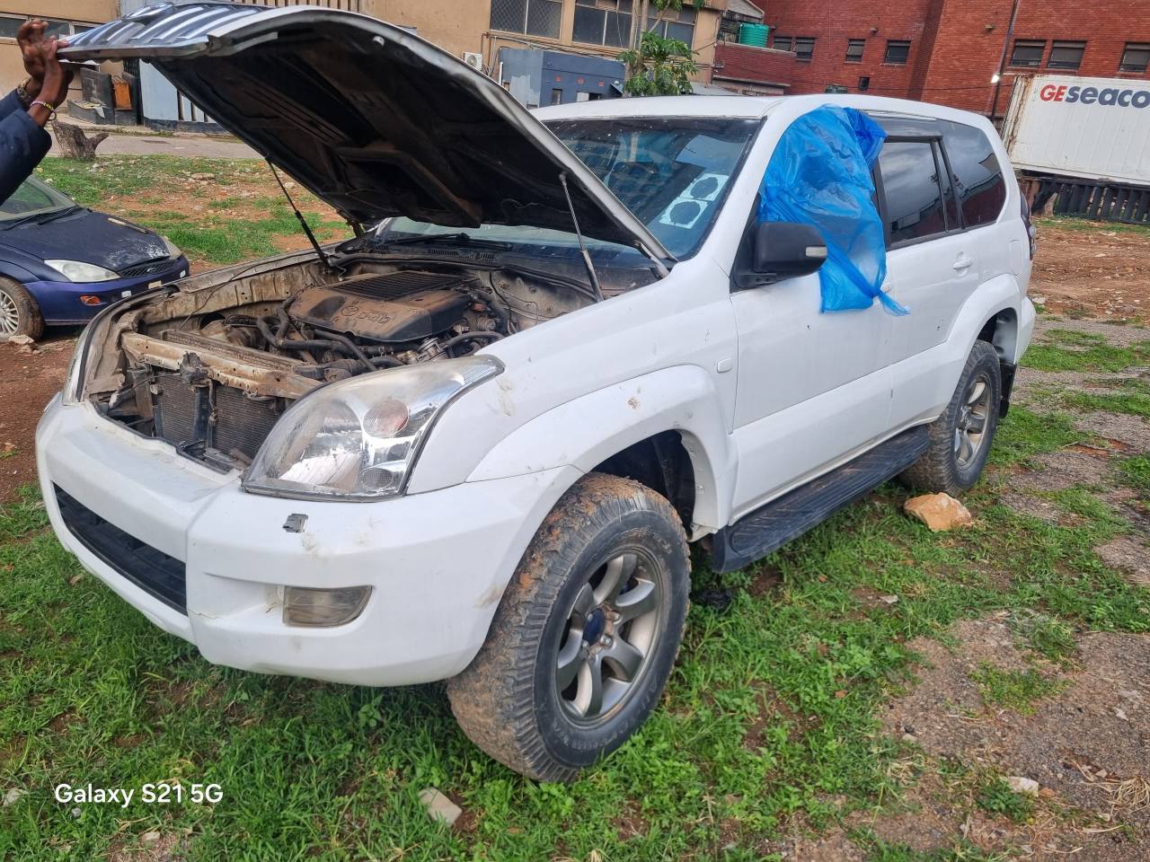 used toyota prado