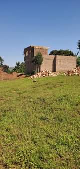 Mugerwa S.