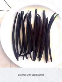 A picture of Vanilla pods