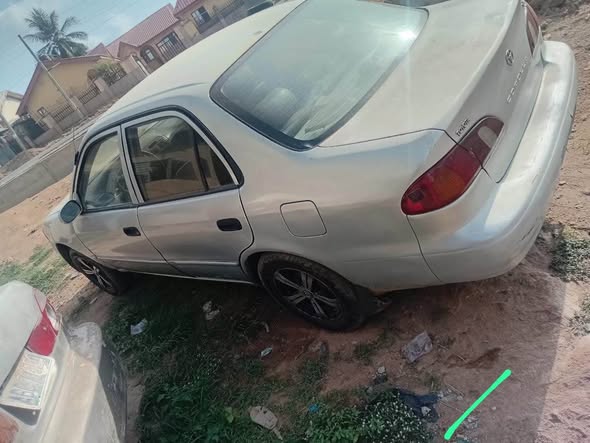 A picture of Corolla small but mighty