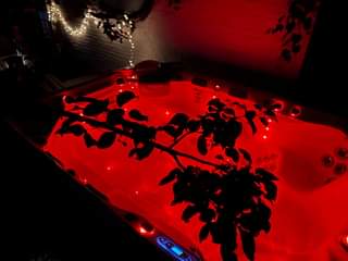 A picture of Master Spas Therapool D