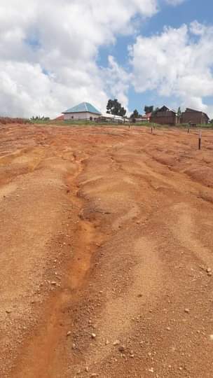 A picture of Quick sale 50x100 mukono kiyunga 1km from main road