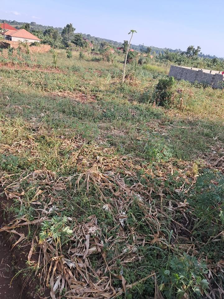 A picture of Land for agent sale