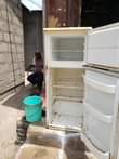 A picture of NJOO UCHUKUE KWA 180K