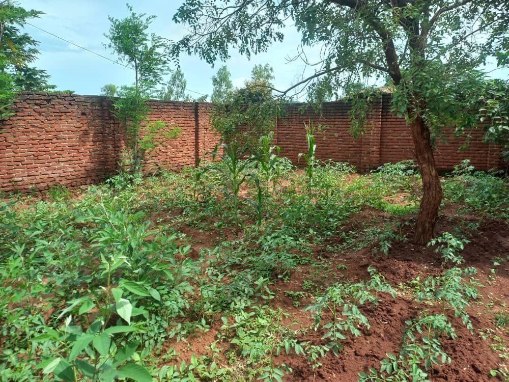 land