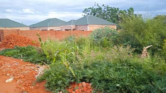 land
