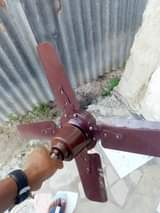 fans