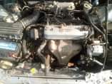 A picture of First body honda accord hala