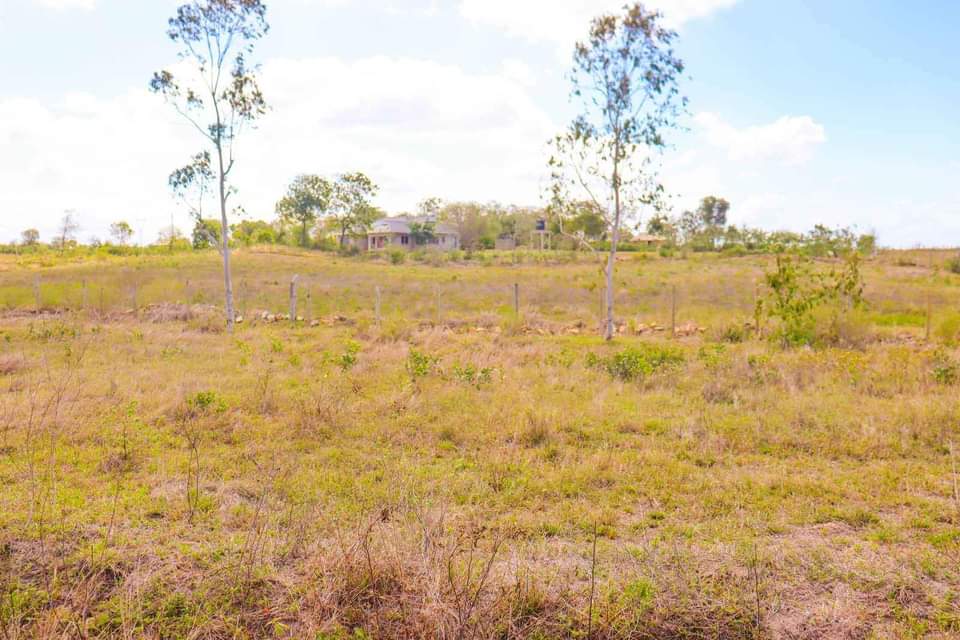 plots mariakani