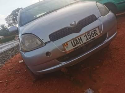 A picture of Vitz