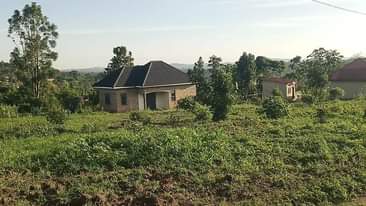 A picture of 4.5m Quick sale plot size 40by25ft located at matugga kakelenge
