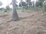 A picture of VINAUZWA MILION 3 CALL 0786111796 0744740524