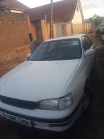 A picture of Cars