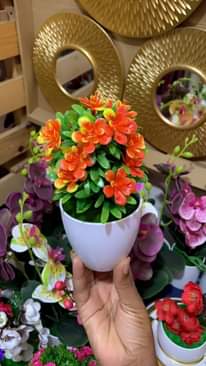 A picture of Maua na vase ake