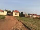 A picture of School on a Quick Sell