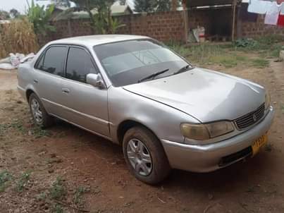 A picture of Arusha