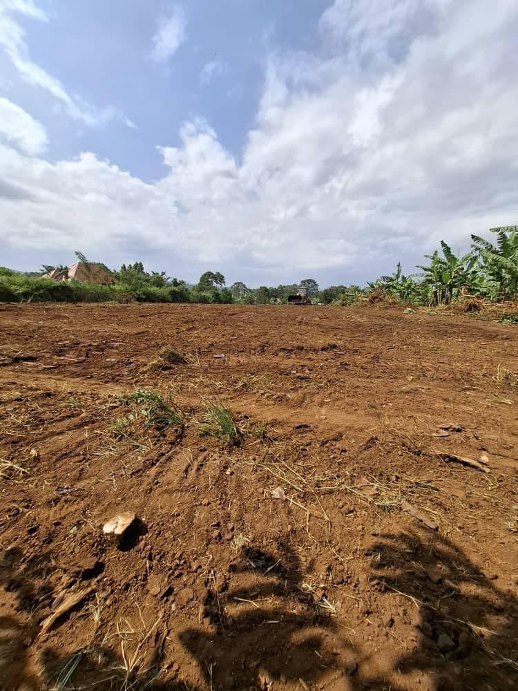 A picture of Tittled Plots 50 100ft