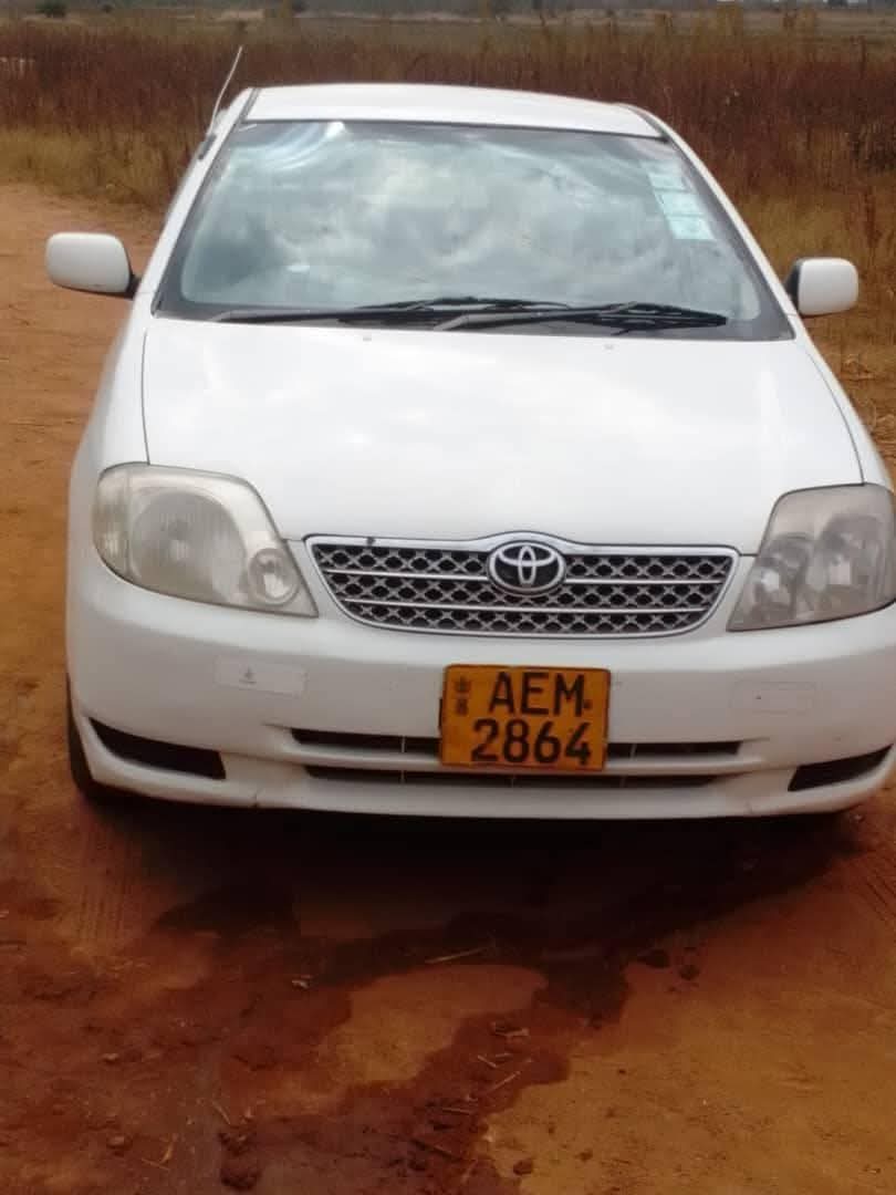 used toyota corolla