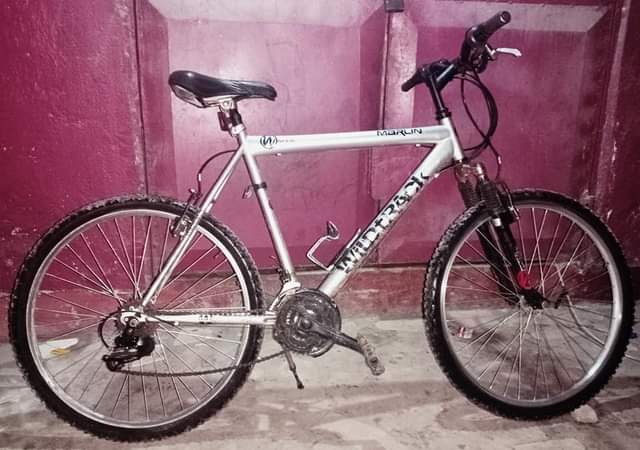 A picture of Bicycle