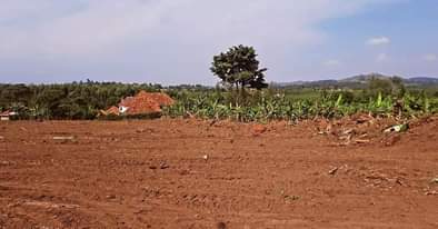 A picture of LAND FOR SALE