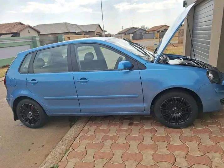 polo vivo