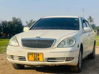 A picture of Brevis mwanza