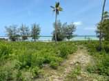 A picture of Beach Plot