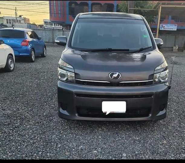 LAMB M.