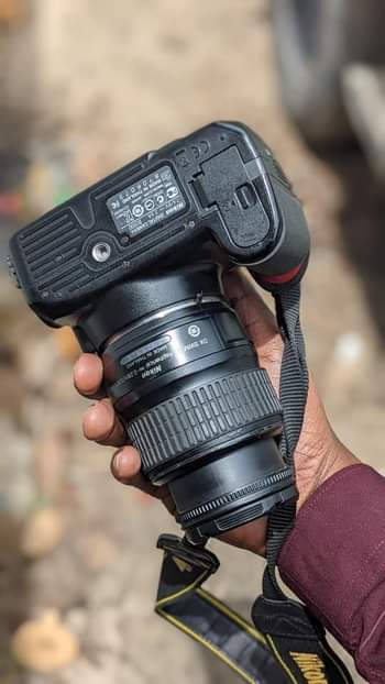 A picture of Nikon d3100 full
