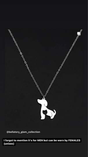 A picture of Stainless steel silver cat dog necklace