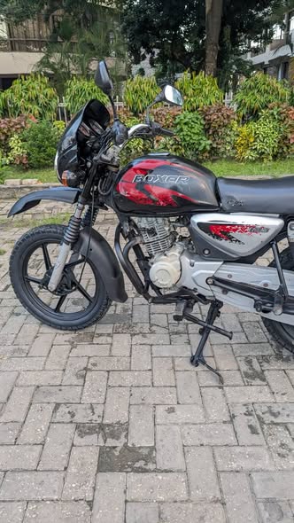 A picture of BOXER CC 125