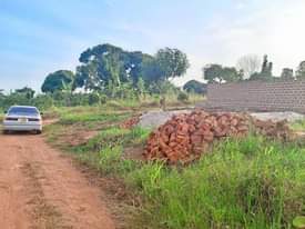 A picture of CHEAP PLOTS