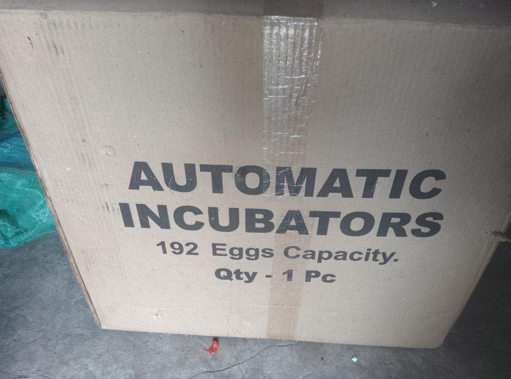 egg incubator
