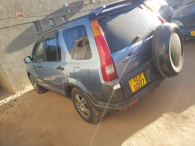 used honda crv