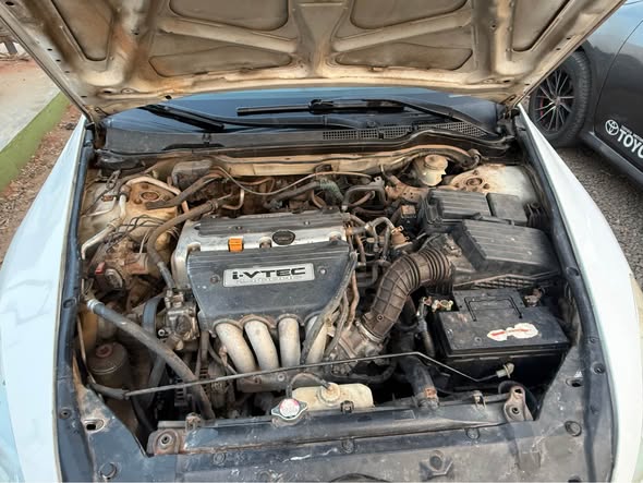 A picture of Clean Honda DC 2007