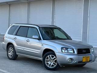 A picture of Subaru Forester cross sport