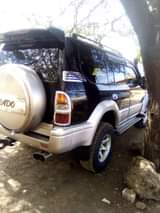 A picture of prado