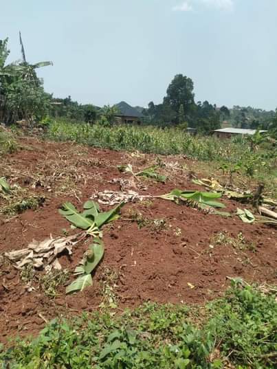 A picture of ANTI MR PROPERTY MANAGEMENT PLOT FOR SALE LOCATED AT NAKAWUKA