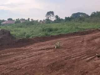 A picture of Nkowe wakiso_ Estate Each plot goes at 25m. With ready