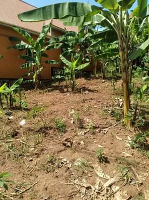 houses munyonyo