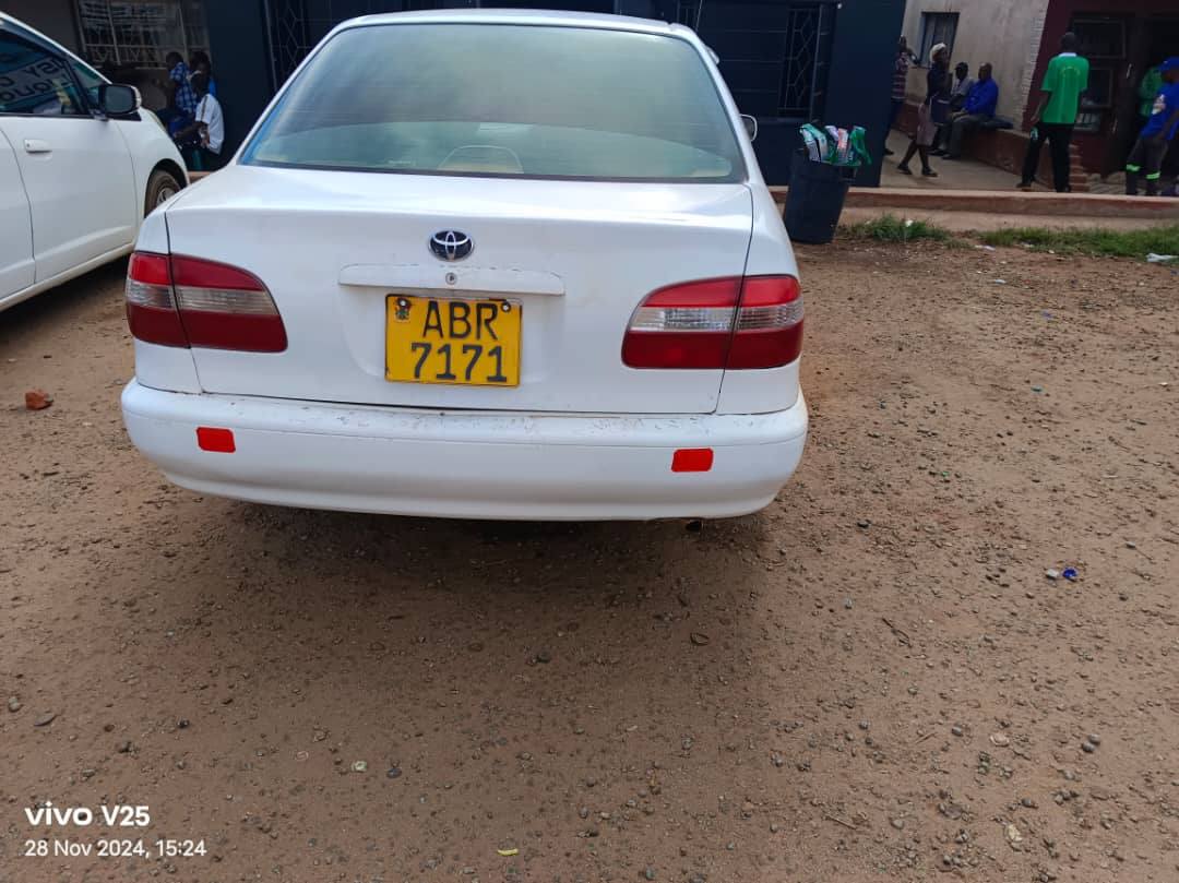 used toyota corolla