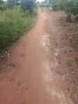 A picture of 3acres at 15m 14km from kikyusa trading center agreement