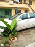 A picture of Honda EOD