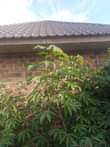 A picture of Anti MR PROPERTY again with another business Single rooms for