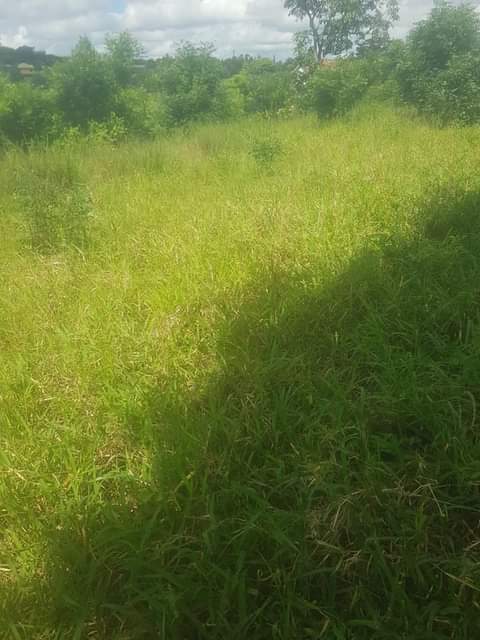 kiwanja