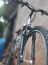 A picture of SMG Mondia