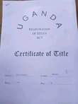 A picture of X mas offer 6 arces for sale at kireka nakasongora