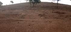 A picture of ENEO LA MLIMA LINAUZWA