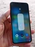 A picture of iPhone XR