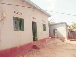 Umuhoza M.